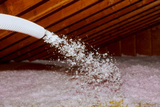 Best Fiberglass Insulation in Beechwood, MS
