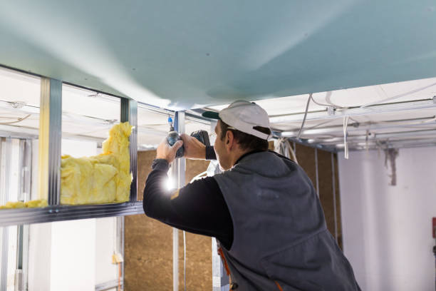 Types of Insulation We Offer in Beechwood, MS