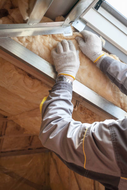 Best Insulation Maintenance and Repair in Beechwood, MS