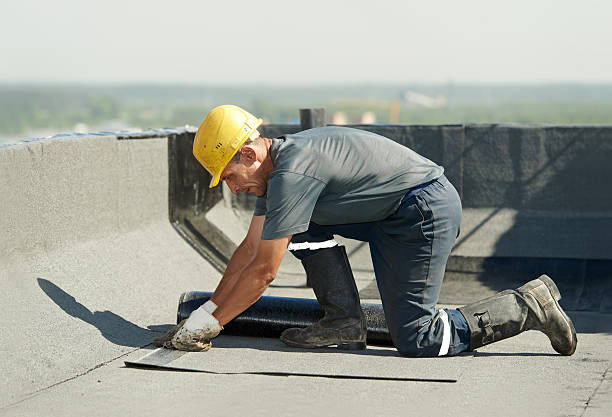 Best Spray Foam Insulation in Beechwood, MS