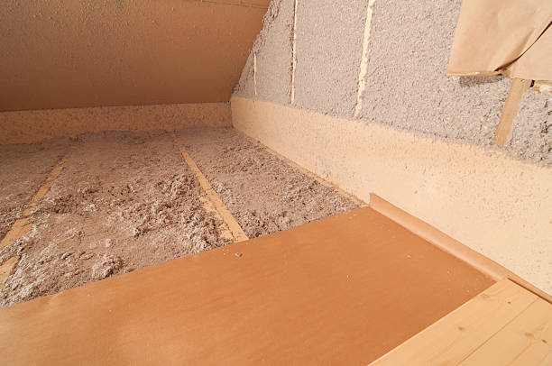 Types of Insulation We Offer in Beechwood, MS