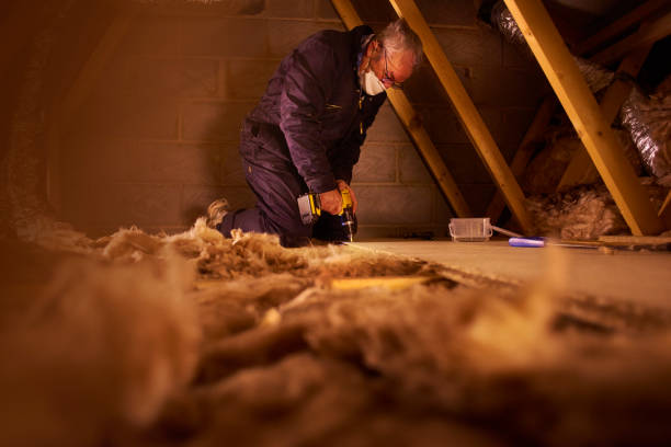Best DIY Insulation Kits and Guidance in Beechwood, MS